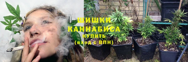 круглые Аркадак