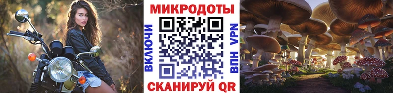 Псилоцибиновые грибы прущие грибы  Углич 